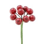 GalhoMiniCherryPowner24cm-162921