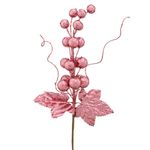 GalhoBerryBrilhoPowner26cm-162930