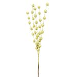 GalhoMiniBerryDouradoPowner32cm-162940