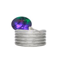 Mangueira Led Colorida 10 Metros Taschibra 220V