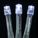 Pisca100LedsNewproBranco-163957