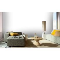 Tinta Acrílica Fosca Coral Master 3,6L Tubarão Branco