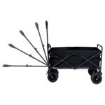 CarrinhodeCargaMultiusoMorPreto-165023