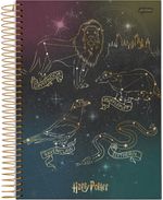 CadernoCapaDuraEspiralHarryPotterJandaia1x196folhas-165203