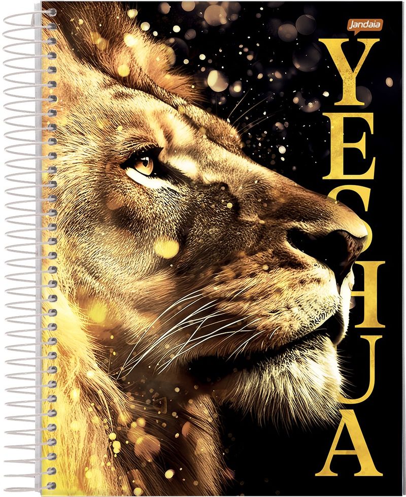CadernoCapaDuraEspiralBelieveJandaia10x1160folhas-165604