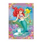 CadernoBrochuraCapaDuraTilibraPrincesasSortida1x480folhas-166154