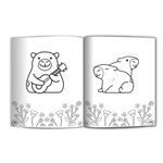 Livro500AdesivoCapivaraCulturama-166826