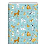 CadernoBrochuraCapaDuraStellaSortidoJandaia1x180folhas-165123