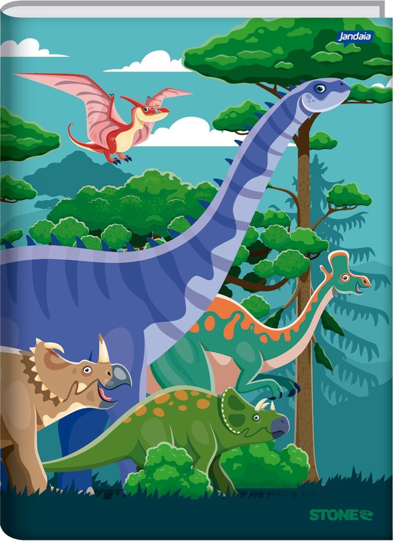 CadernoBrochuraCapaDuraStoneSortidoJandaia1/480folhasA-165109