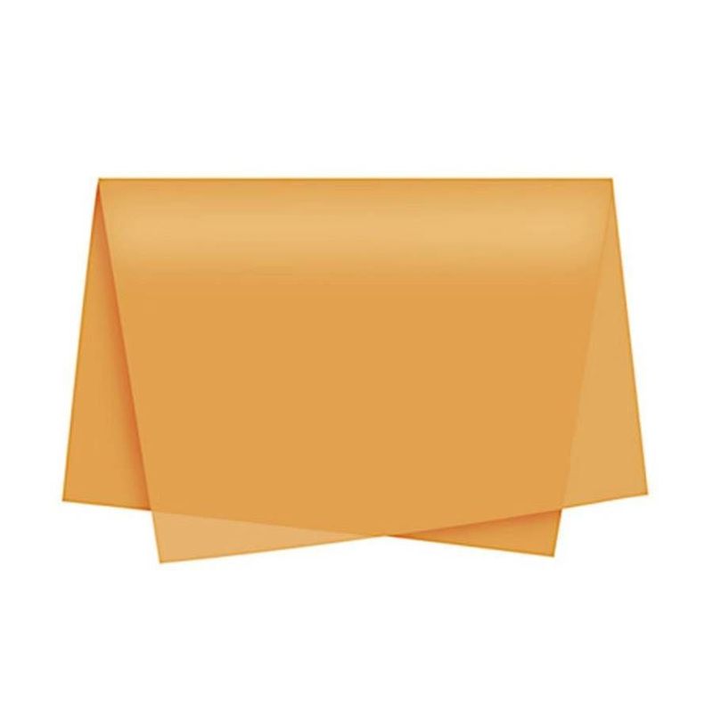 PapeldeSedaVMPSortido48cmx60cm5pecas-144667