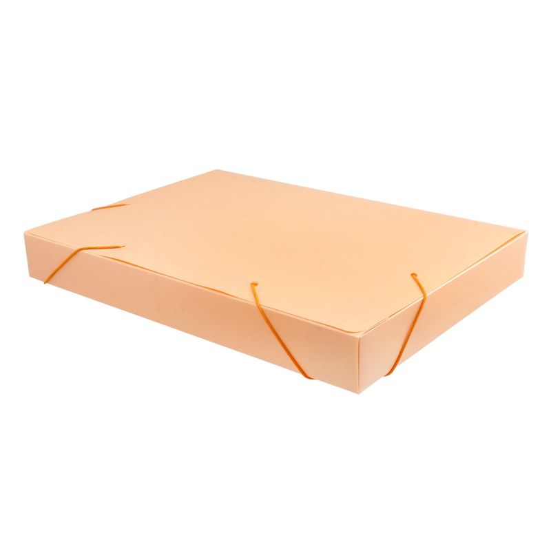 PastaEscolarcomAbaAcpLaranjaPastel40mm-155428