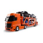 CaminhaoCegonheiraPetroleumSortidoRomaBrinquedos-139821