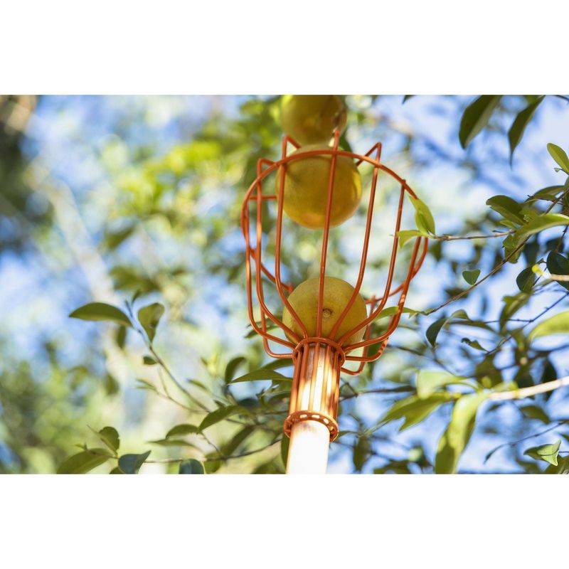 ColhedordeFrutasMedioSemCaboTramontina-167217