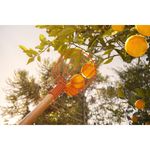 ColhedordeFrutasGrandeSemCaboTramontina-167221