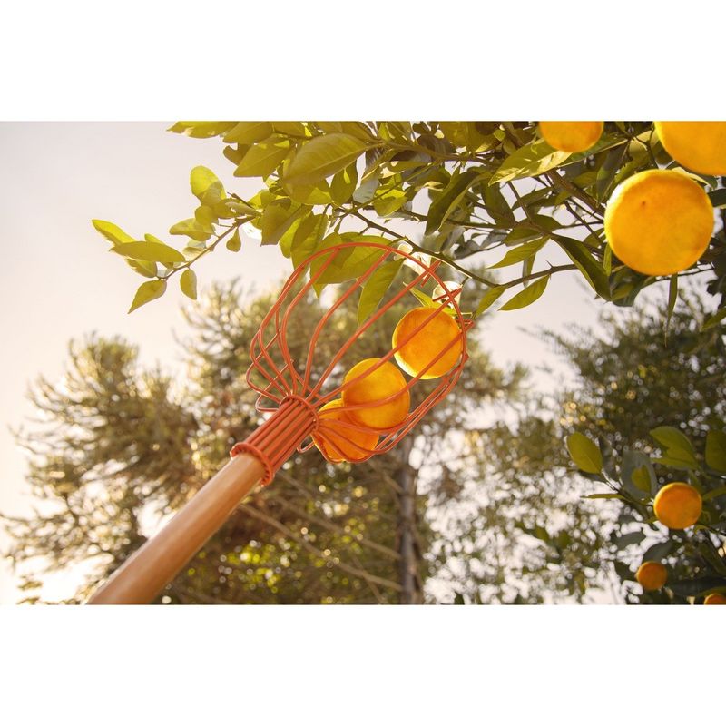 ColhedordeFrutasGrandeSemCaboTramontina-167221