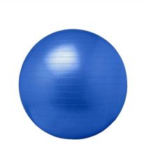 Bola de Ginástica com Bomba de Ar Newpro 65cm