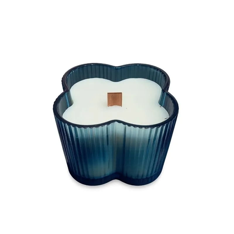 VelaPerfumadaSortidoLavandaHome8cmx75cm518g-167303