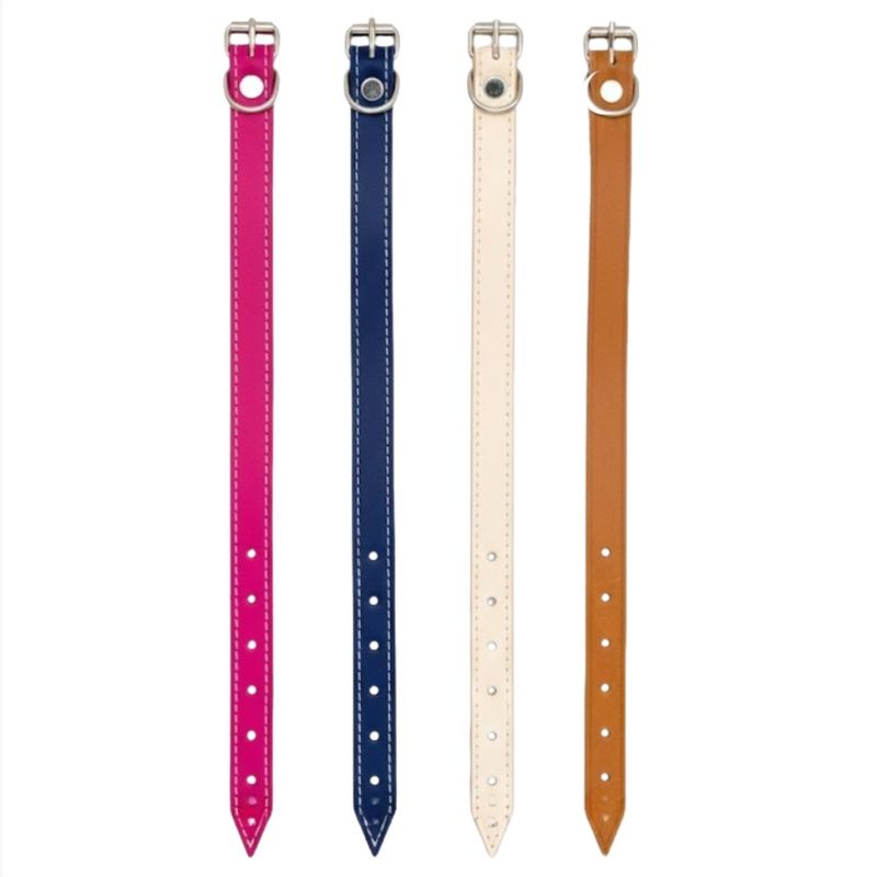 ColeiraCouramaSortidon1-168200