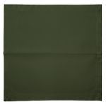 GuardanapodeLinhoVerdeNSW42cmx42cm2Pecas-168248
