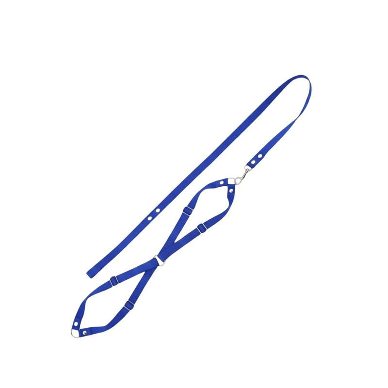 GuiadeSedacomPeitoralFuracaoSortidoPetn3-168275