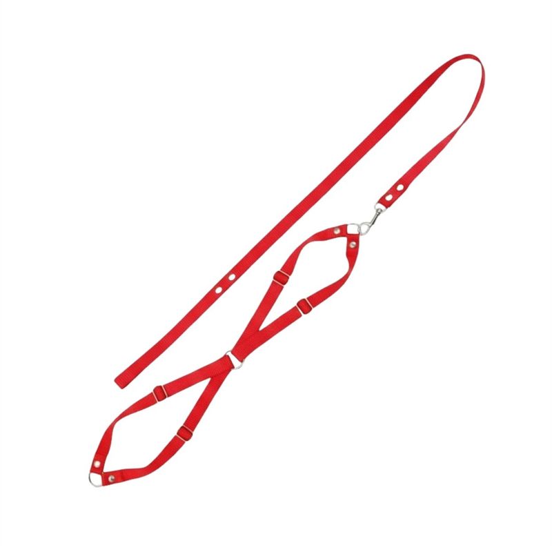 GuiadeSedacomPeitoralFuracaoSortidoPetn3-168277