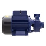 MotobombaPerifericaEletroplas1CV-45137