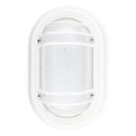 LuminariaTartarugaSupremaTaschibra-46701