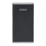 ModuloInterruptorSimplesGrafiteLizTramontina-72750