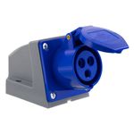 TomadadeSobrepor2Pinos+TerraHj16A-47063