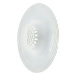 RalinhoJaponesparaPiaPlasticoEsfrebom55cm-90178