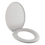 AssentoSanitarioMaxPlenaTigreCinza-1448