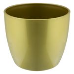 CachepoMiniDouradoMantac-6303