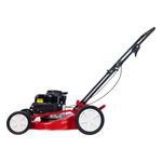 CortadordeGramaaGasolinaGarthen35HP-13559