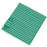 EsteiradePraiaDobravelSortidaMor15mx200m-141003