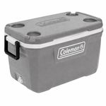 CaixaTermicaSilverAshColeman49L-168927