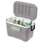 CaixaTermicaSilverAshColeman49L-152154