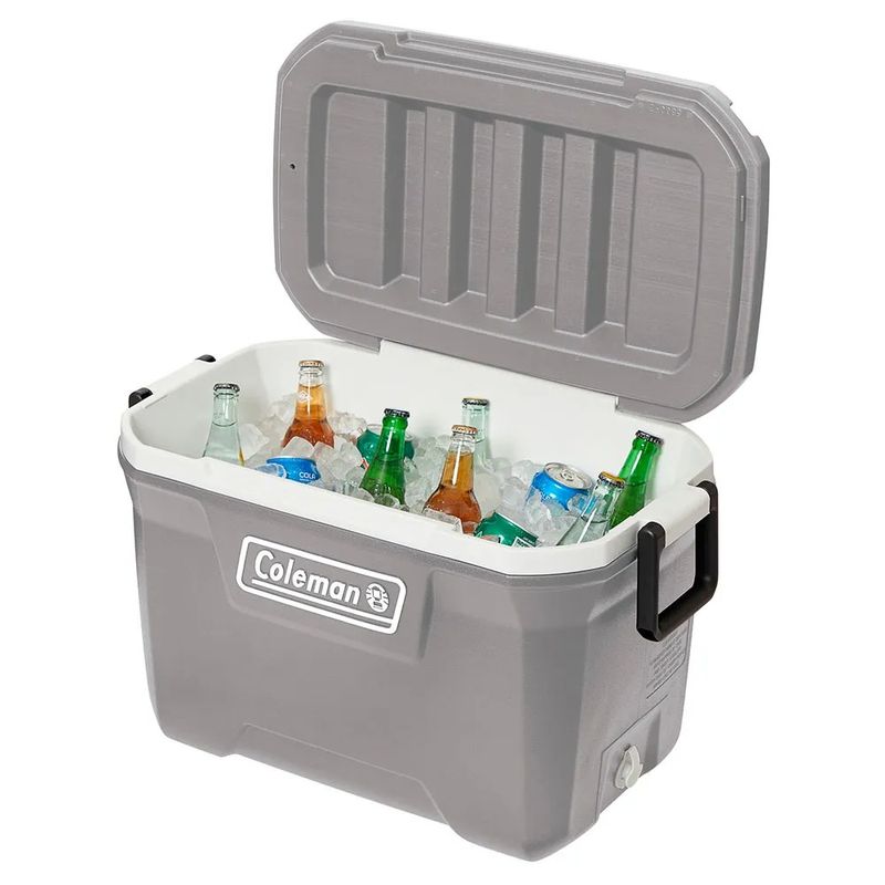 CaixaTermicaSilverAshColeman49L-152154