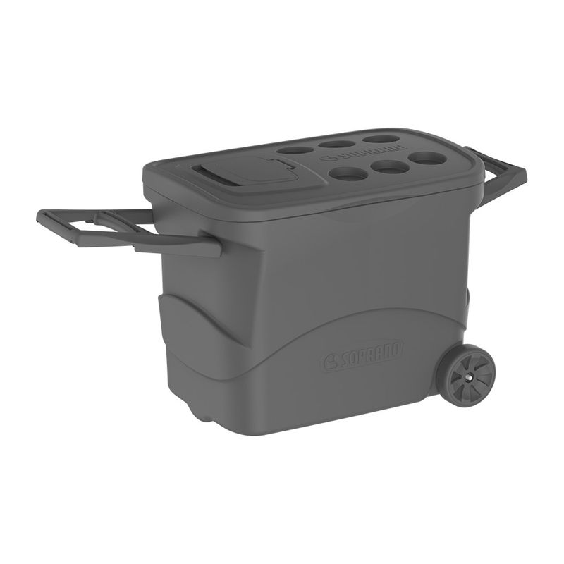 CaixaTermicaCinzacomRodinhasSoprano50L-139561