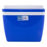 CaixaTermicaAzulMor34L-19258