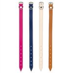 ColeiraCouramaSortidon3-168205