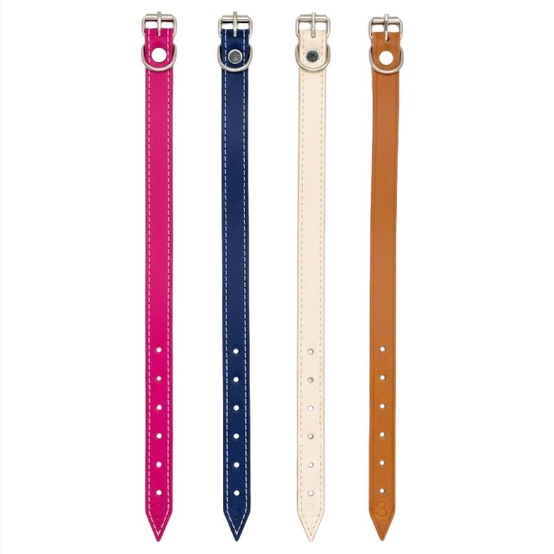 ColeiraCouramaSortidon3-168205