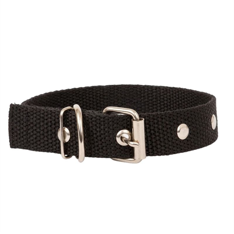 ColeiraLisaLargaSortidaSspet'S20mmnº4nº5-169350