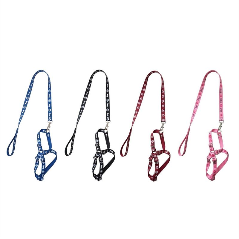 GuiadeSedaSortidacomPeitoralAjustavelFuracaoPetnº1-169535