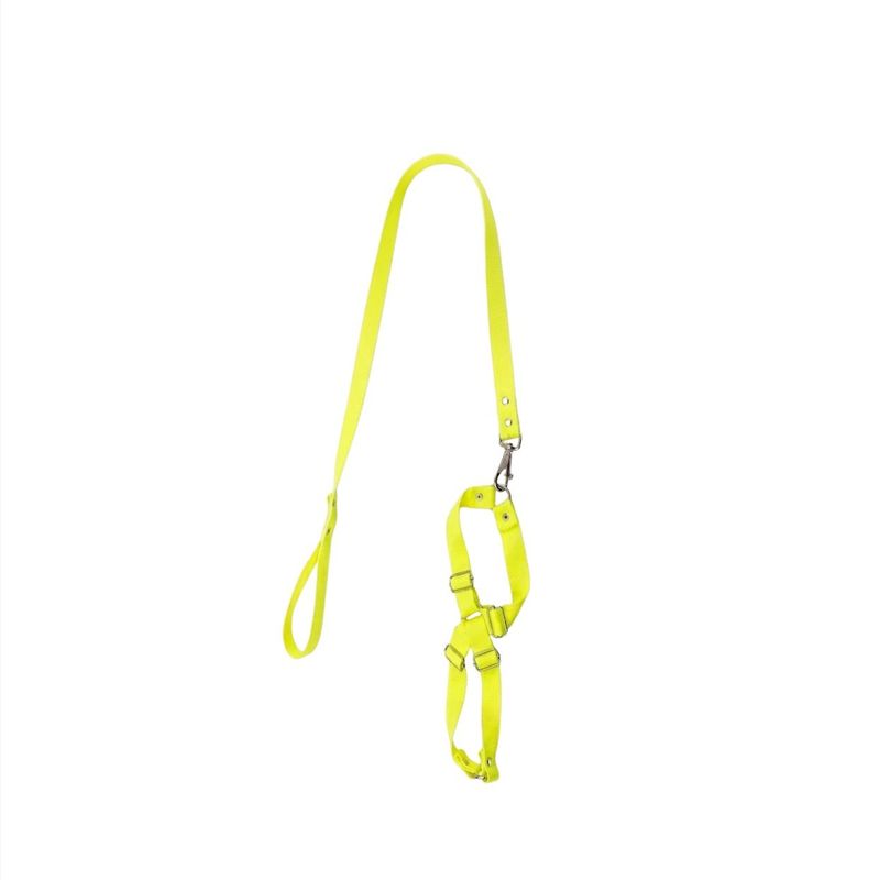 GuiadeSedaSortidacomPeitoralAjustavelFuracaoPetnº2-169541