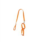 GuiadeSedaSortidacomPeitoralAjustavelFuracaoPetnº2-169542