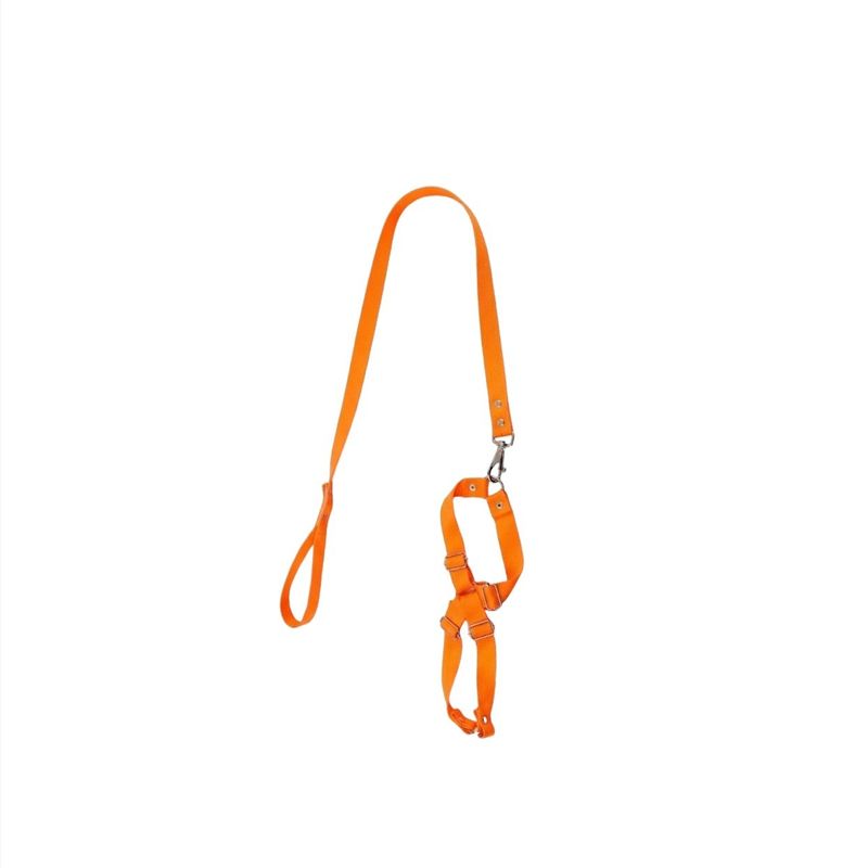 GuiadeSedaSortidacomPeitoralAjustavelFuracaoPetnº2-169542