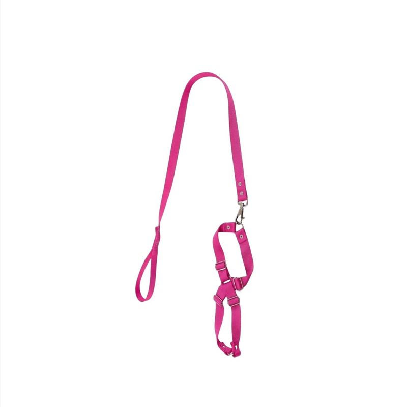 GuiadeSedaSortidacomPeitoralAjustavelFuracaoPetnº2-169543