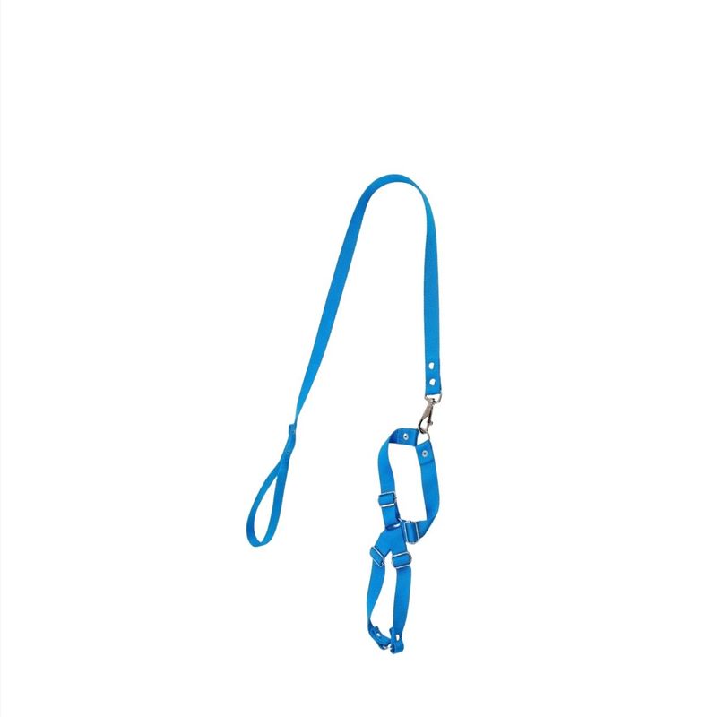 GuiadeSedaSortidacomPeitoralAjustavelFuracaoPetnº2-169544