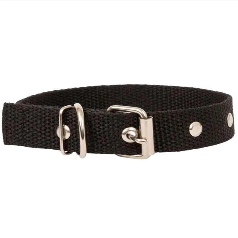 ColeiraLisaEstreitaSortidaSspet'S15mmnº3-169713