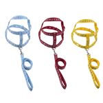 GuiaTradicionalcomPeitoralSortidaFuracaoPetnº3-169750